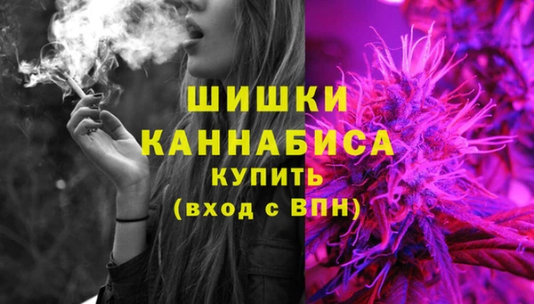 сатива Протвино