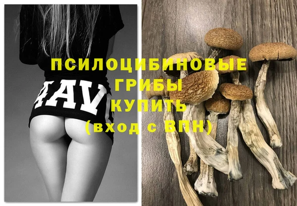 сатива Протвино