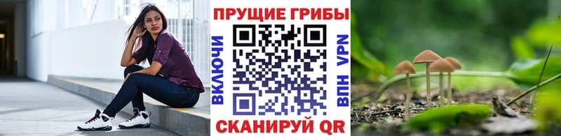 Псилоцибиновые грибы MAGIC MUSHROOMS  Мосальск 